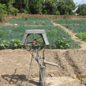 Pompe à Brosso