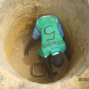 Baghagha