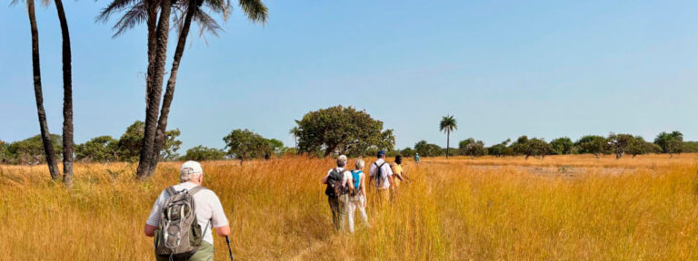 Voyage en Casamance, terre de partage