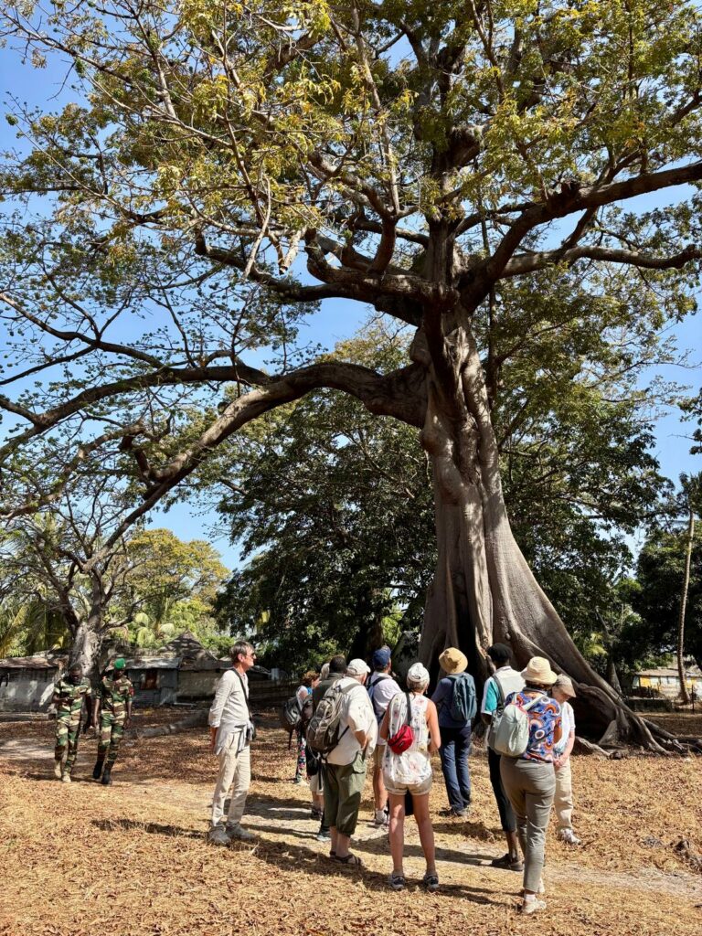 Voyage en Casamance avec AlterAfrique